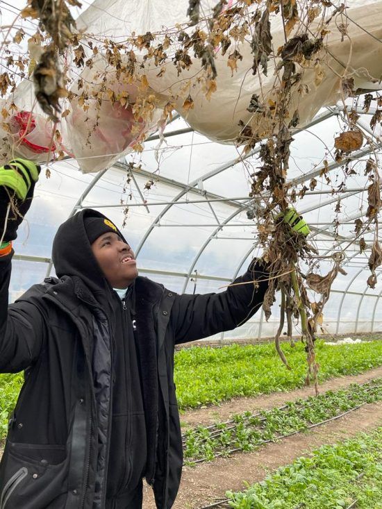 Meet Our Market Garden Trainee: Jesus Simpson