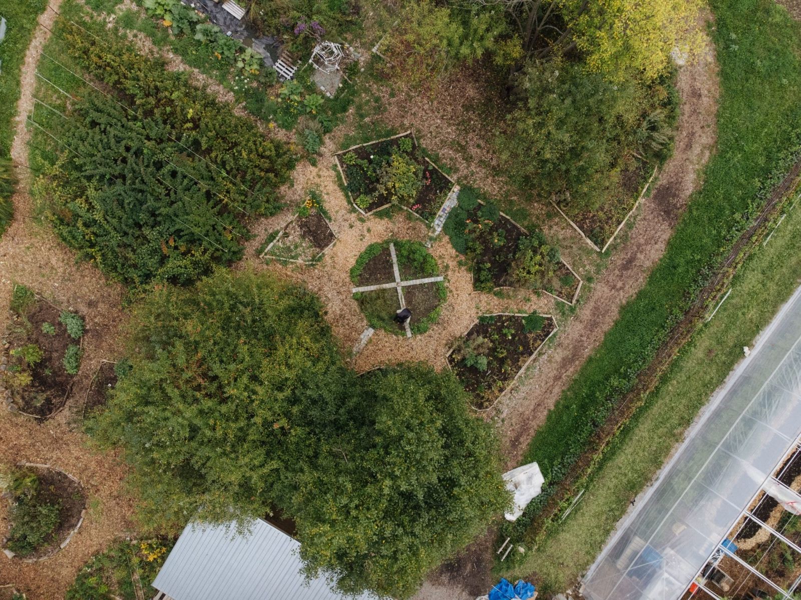 Growing Food, Reducing Emissions, and Cultivating Resilience at Black Creek Community Farm
