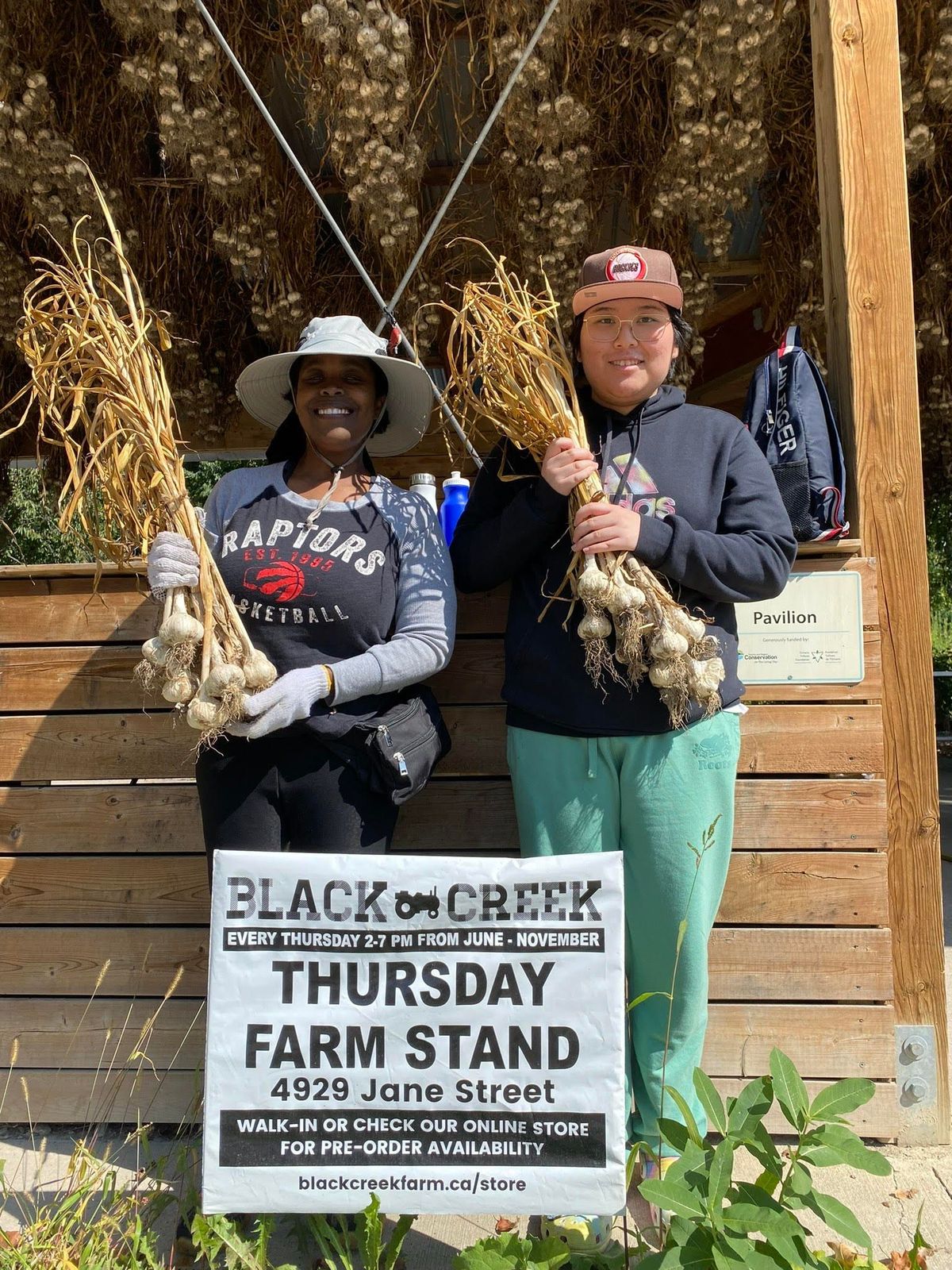 Meet our Market Garden Trainee: Serena Luu