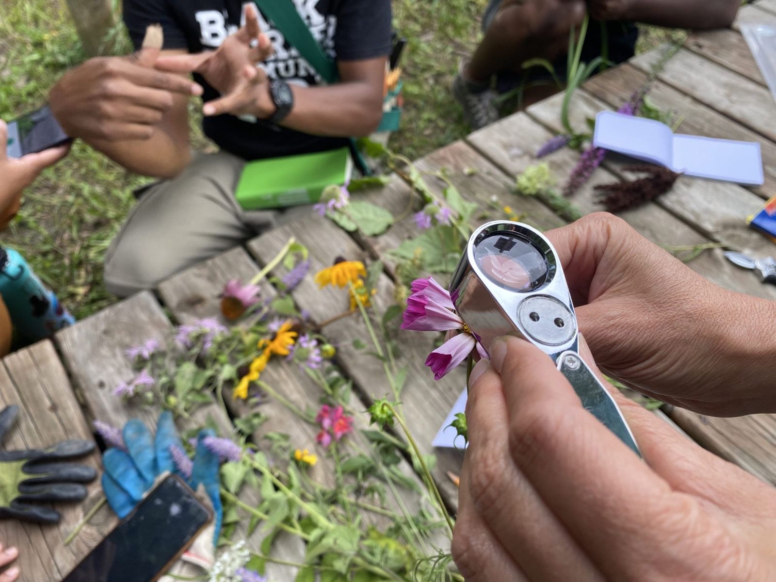 UPCOMING WORKSHOP: LEARN TO IDENTIFY MEDICINAL AND FLOWERING PLANTS